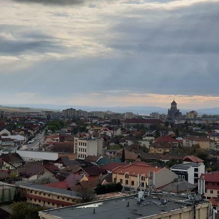 Exclusive Hortensiei Baia Mare Exteriör bild
