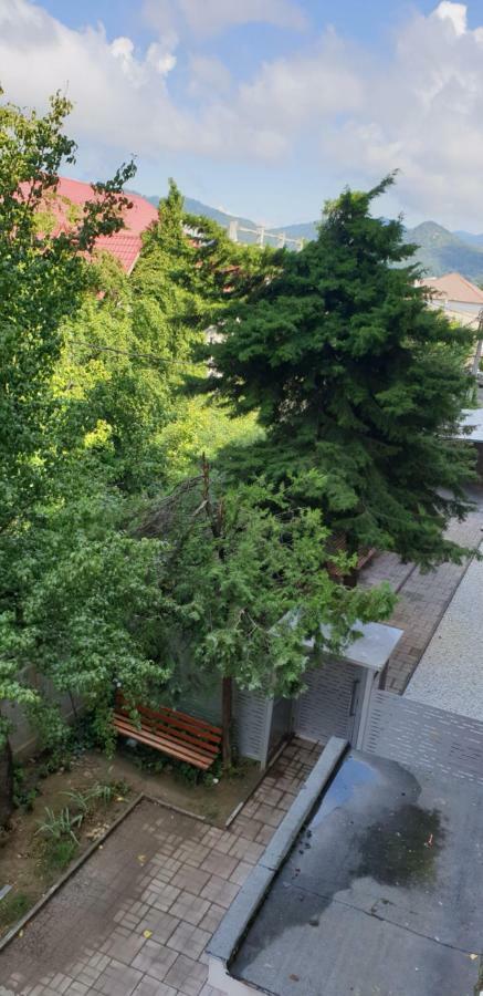 Exclusive Hortensiei Baia Mare Exteriör bild